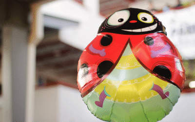 a lady bird animal balloon